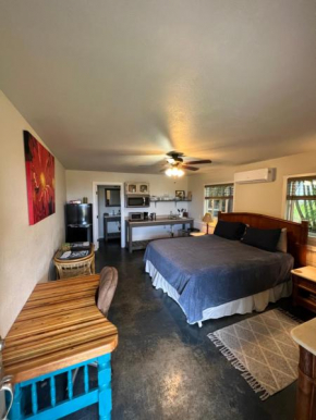 Private Ohana on the lush Hamakua coast with AC